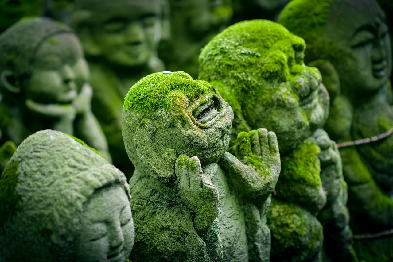 The Significance of Traditional Practices in Cultural Identity